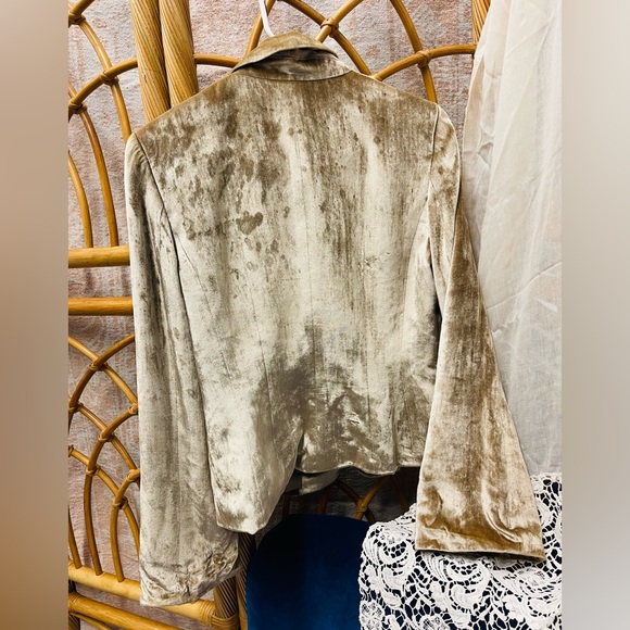 Velvet blazer - Picture 2 of 3